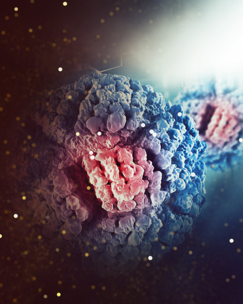 hpv